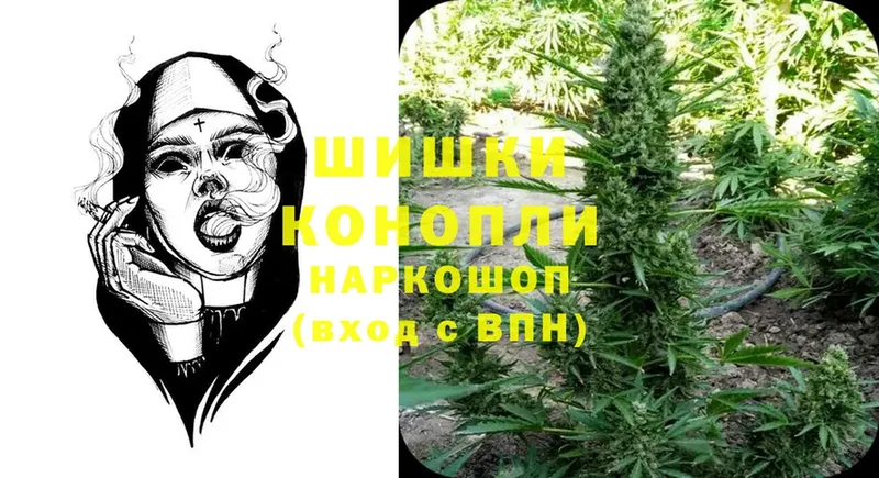 Бошки марихуана THC 21%  Алагир 